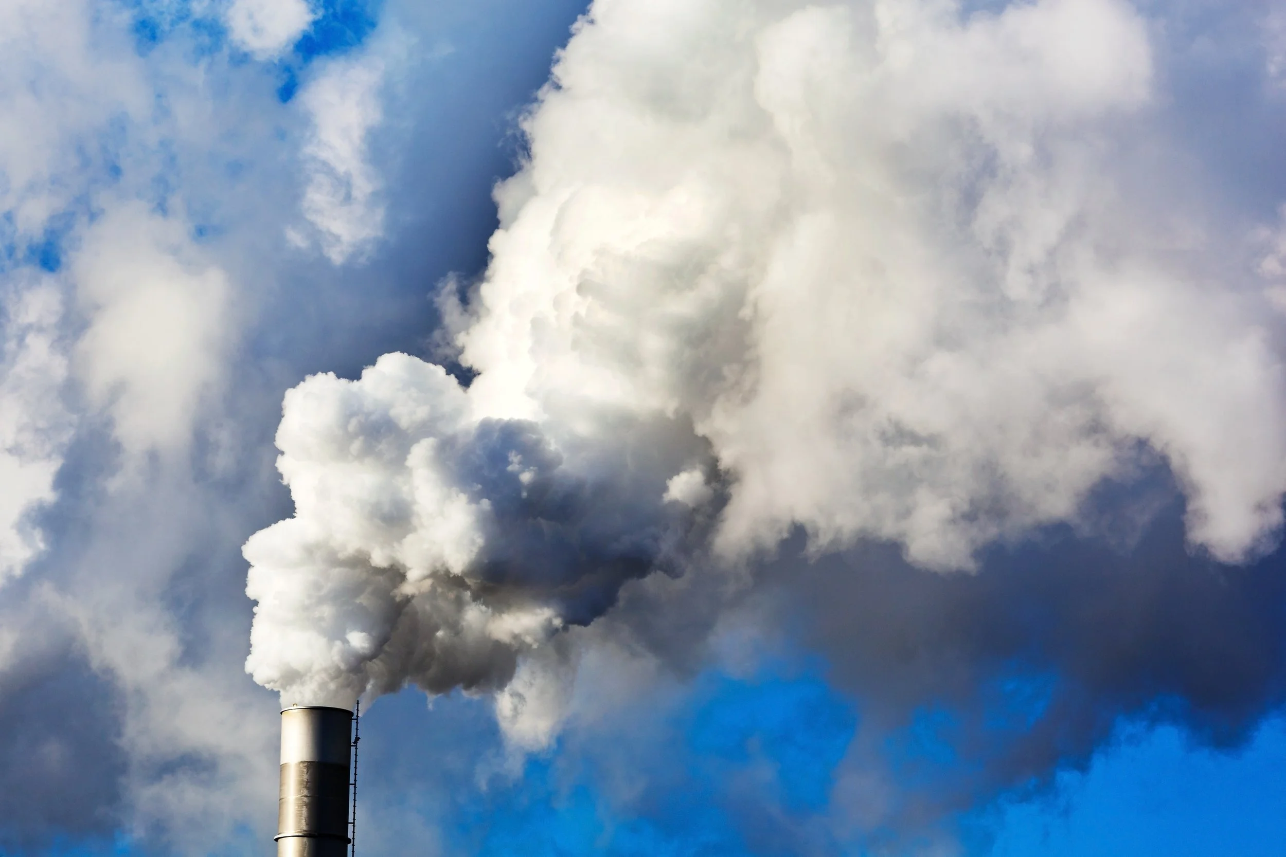 Transforming industrial waste gases (CO/CO2) to chemicals