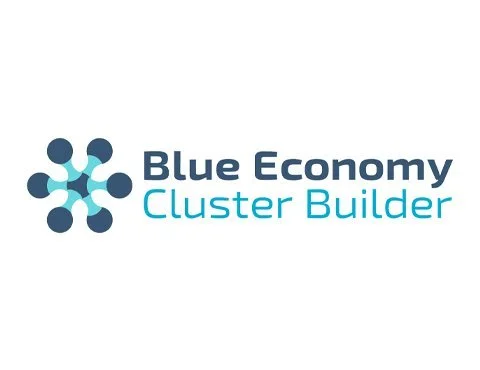 Innovating in the Blue Economy: the challenges and opportunities for SMEs