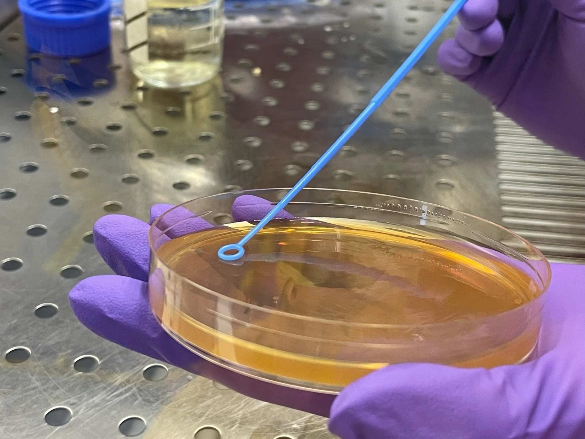 Introduction to Upstream Bioprocessing