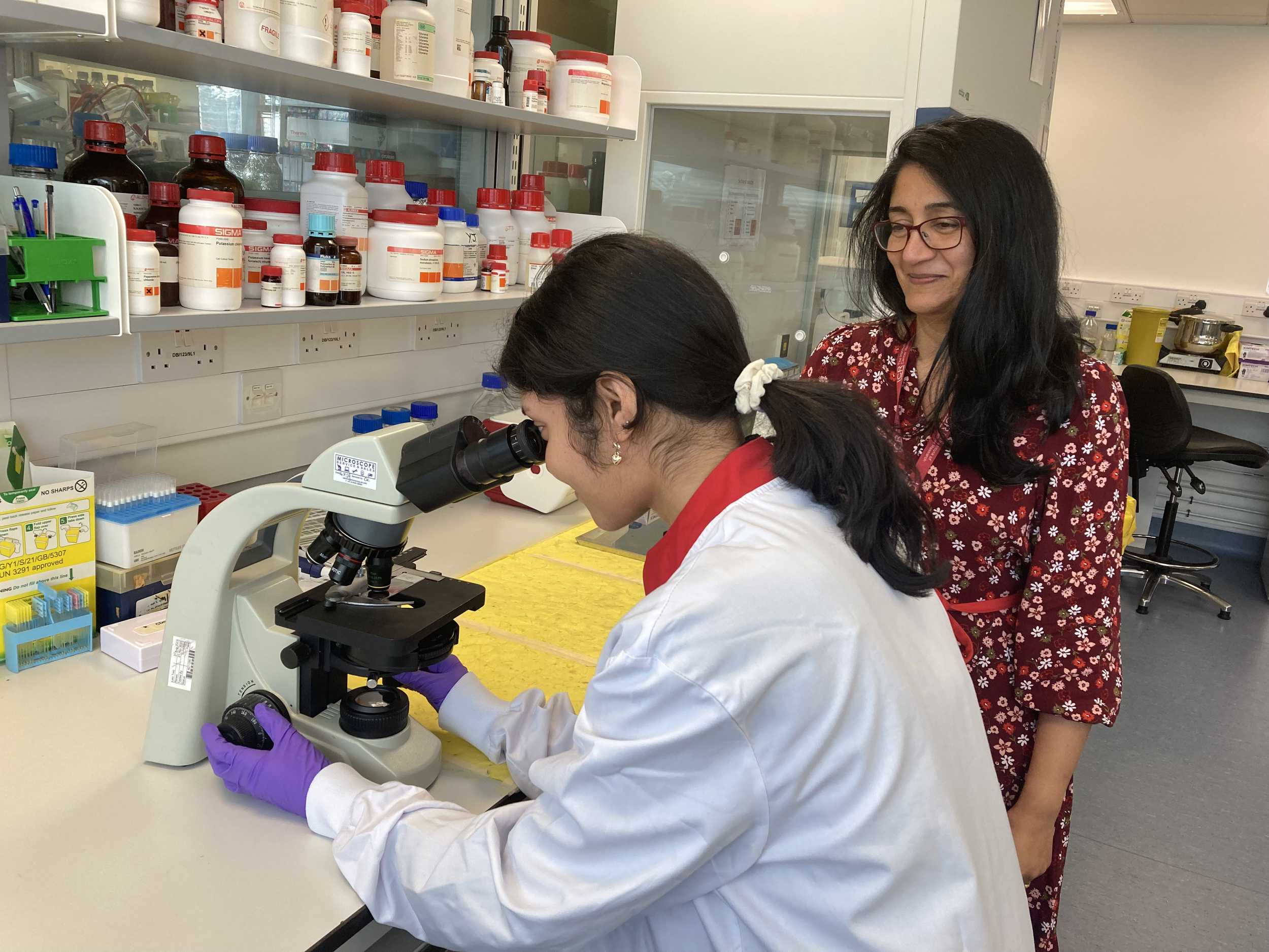 In2STEM Volunteer Information Sessions 2026