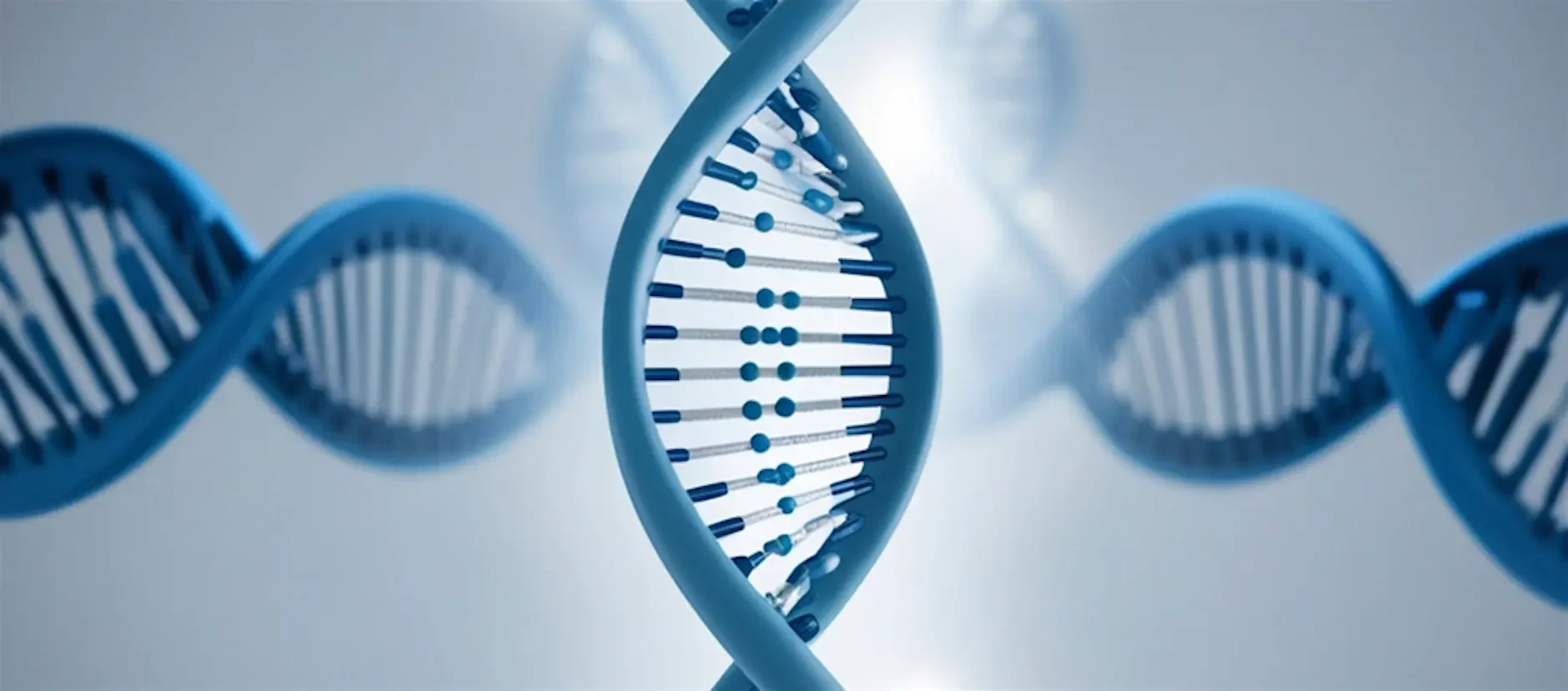 1st Scottish Engineering Biology Research Community Meeting