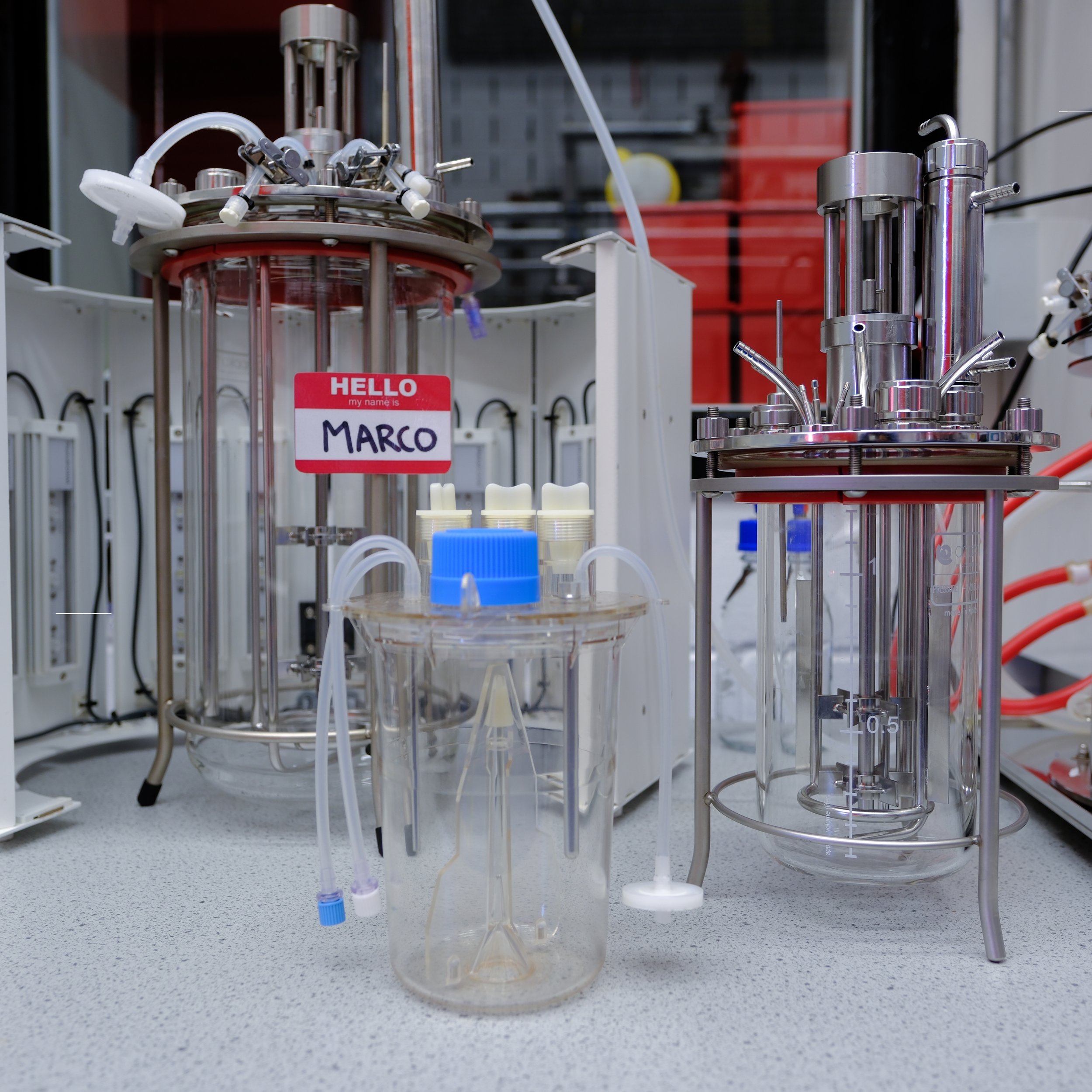 Applikon Glass Bioreactors: Scalable Platforms for Process Development
