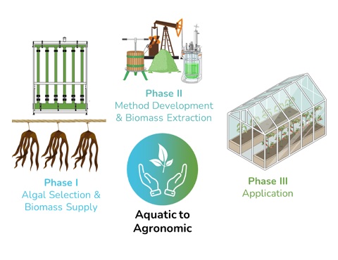 Aquatic to agronomic: making progress towards mechanistic functional understanding of algal biostimulants for agriculture