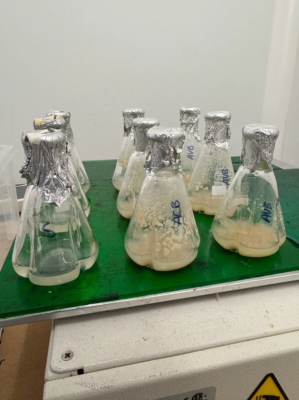 A consolidated bioprocess for one-pot depolymerisation-upcycling of bread waste in engineered bacteria