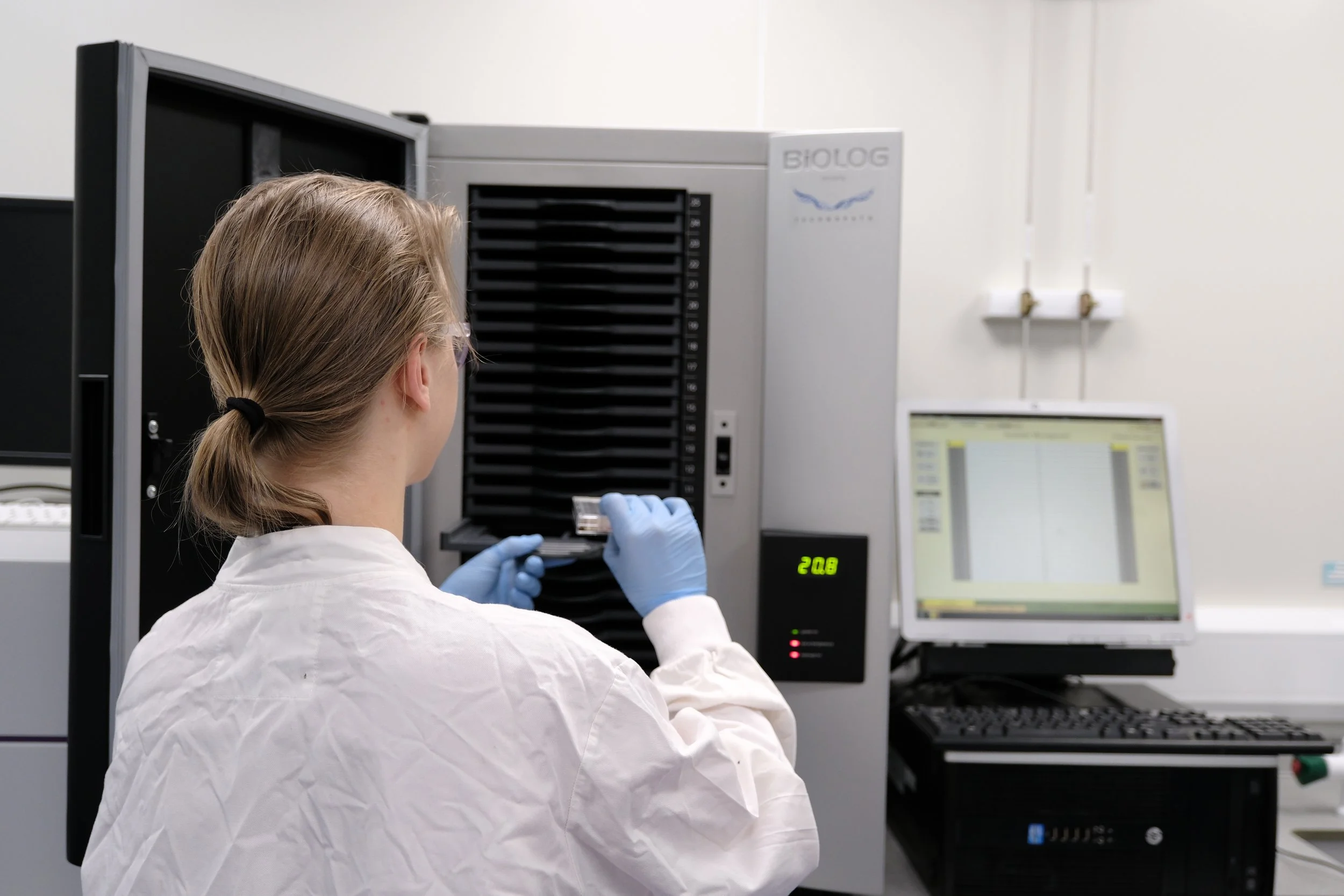 How Metabolic Advantages Help Drug-Resistant E. coli Outcompete Gut Bacteria
