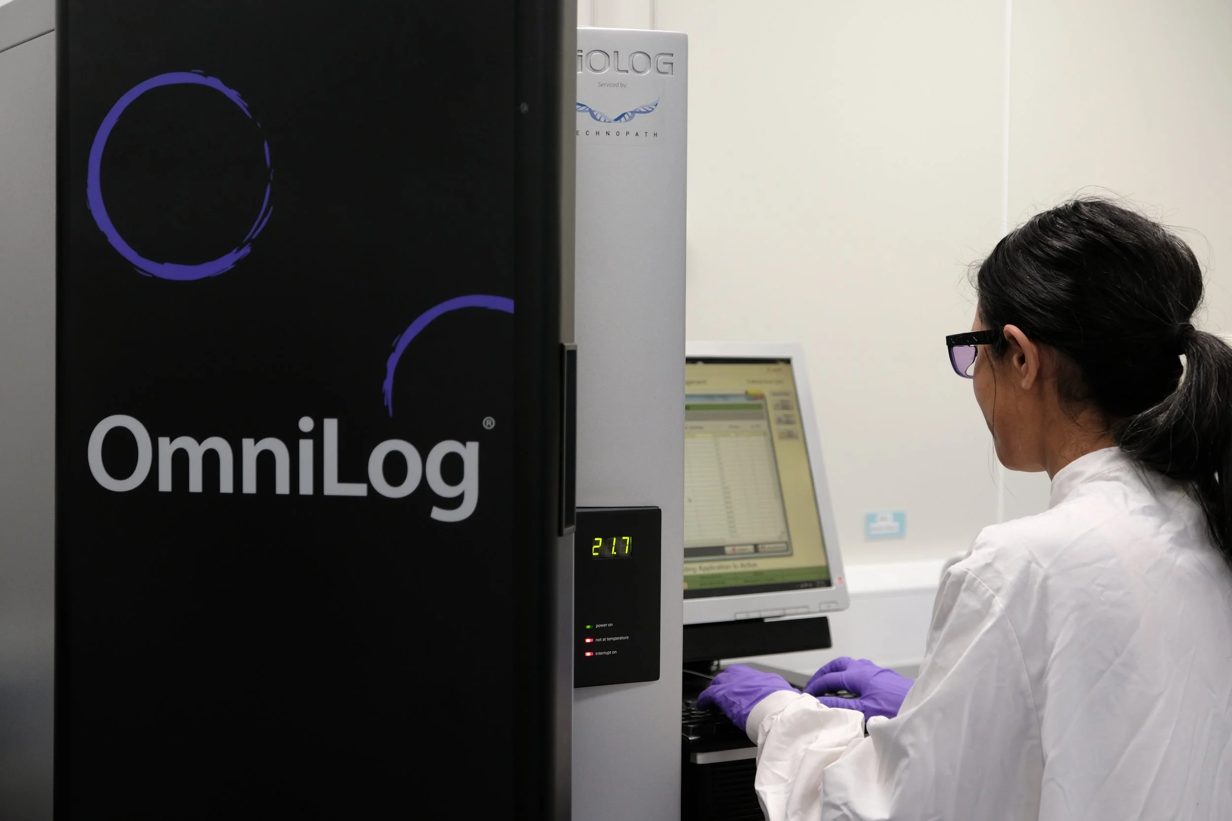 How Studying Bacterial Evolution Could Help Us Fight Antibiotic Resistance
