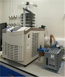 Freeze Drying Capabilities: Efficient Sample Preservation for Process Development