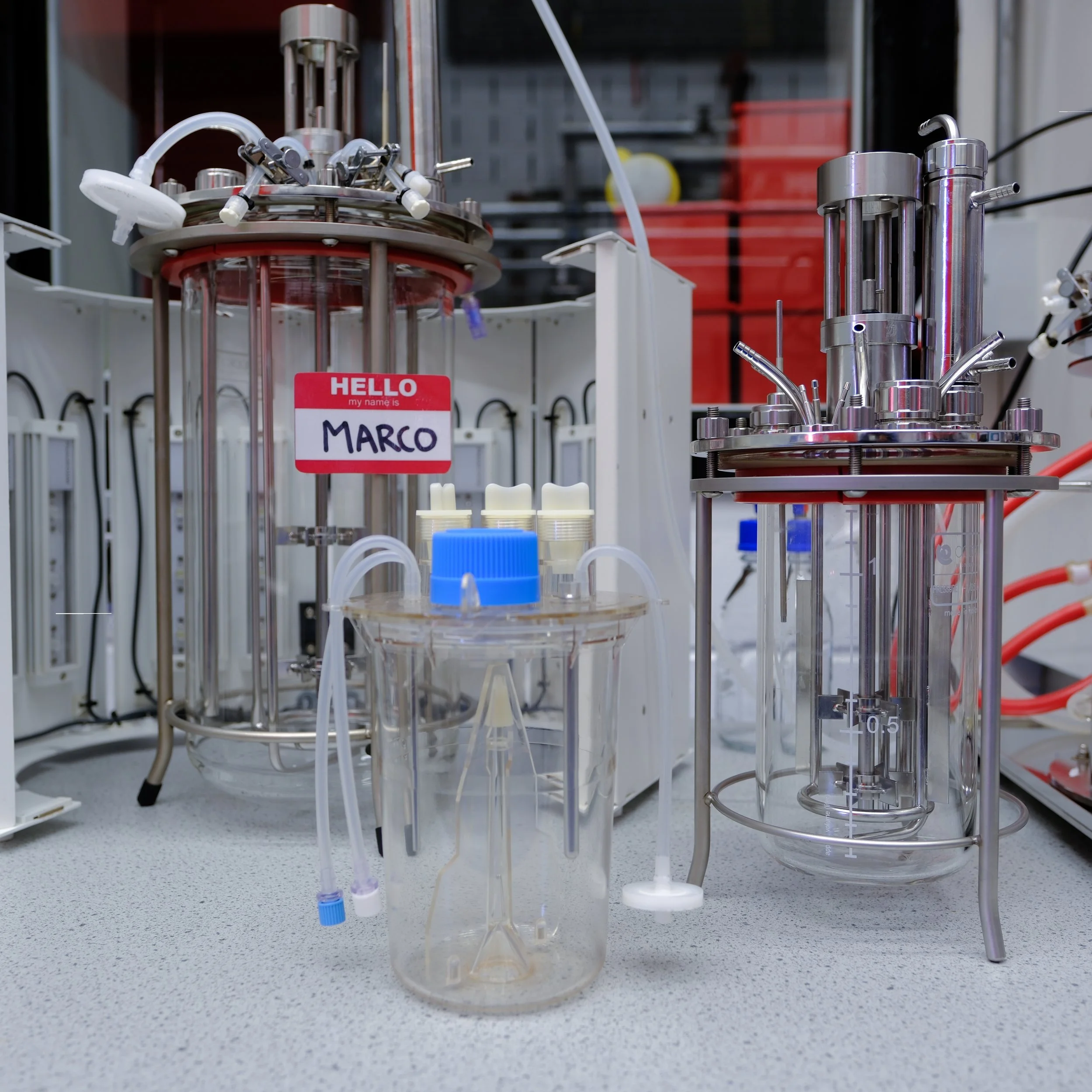 Glass bioreactors with 1 L and 7 L volumes used for laboratory-scale microbial fermentation studies.