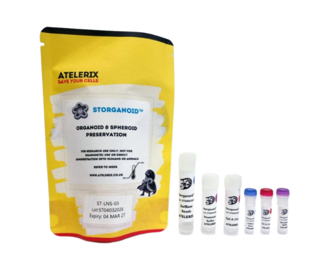 Yellow vaccuum sealed pouch and a set of screw-top vials branded with Atelerix logo and labelled as STORGANOID organoid and spheroid preserveration
