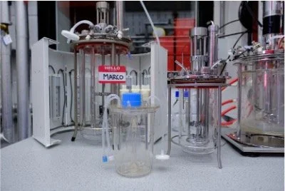 Applikon Glass Bioreactors: Scalable Platforms for Process Development