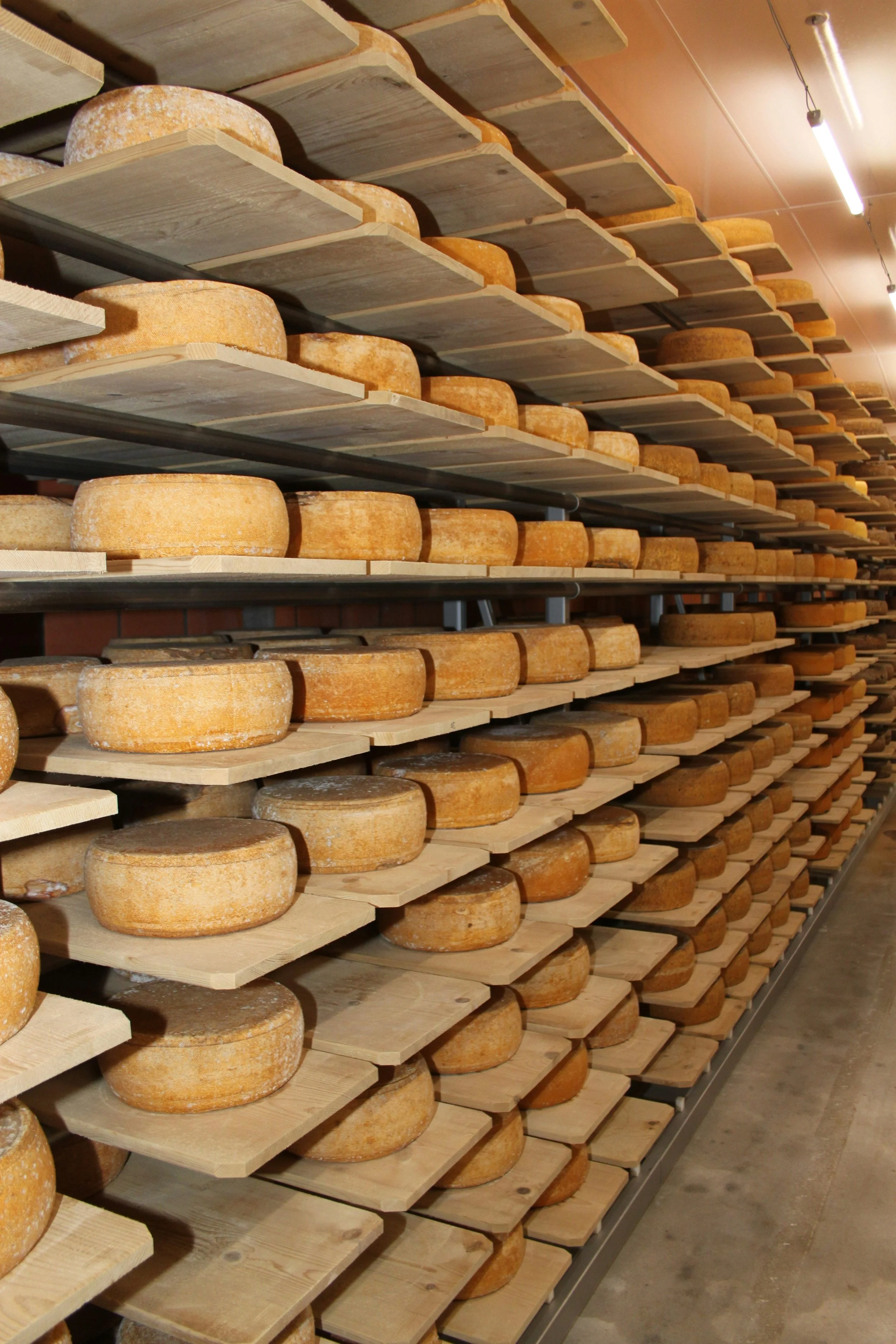 Cheese on a shelf