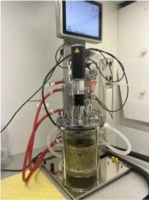 Infors Solid-State Fermenter: Tailored for Alternative Substrates and Emerging Applications