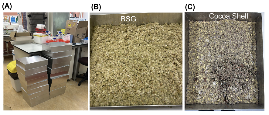 Image showing spent grain and cocoa husk substrates