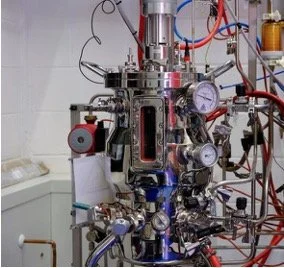 Applikon Stainless Steel STRs: Pilot-Scale Solutions for Seamless Scale-Up