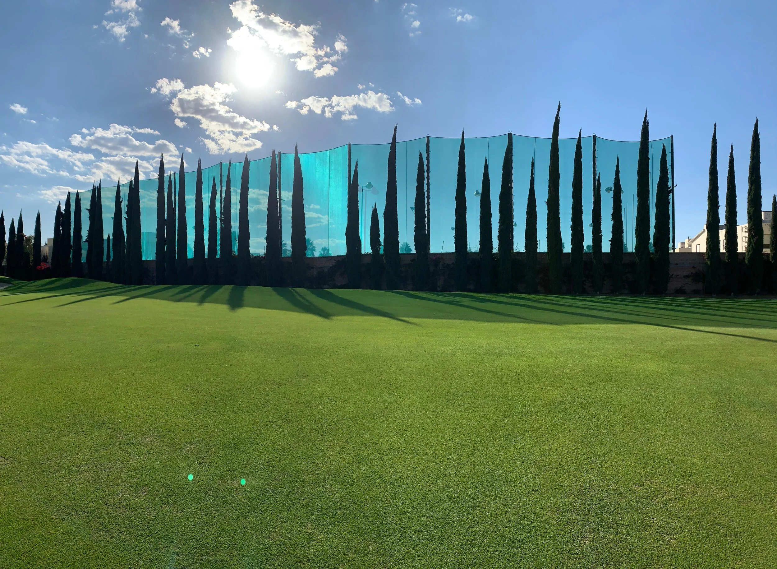 Césped verde en un campo de golf, con fila de árboles altos y delgados, y estructura de malla azul en el fondo. El sol brillante y cielo despejado con algunas nubes.