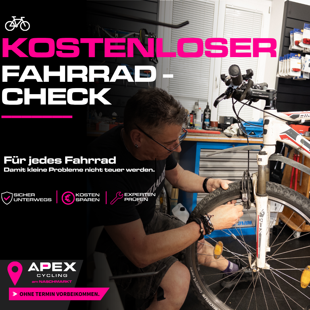 Kostenloser Fahrrad-Check in Wien: Warum sich eine regelmäßige Kontrolle lohnt