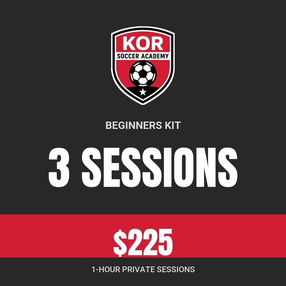Beginners Kit: 3 one-hour sessions, $225