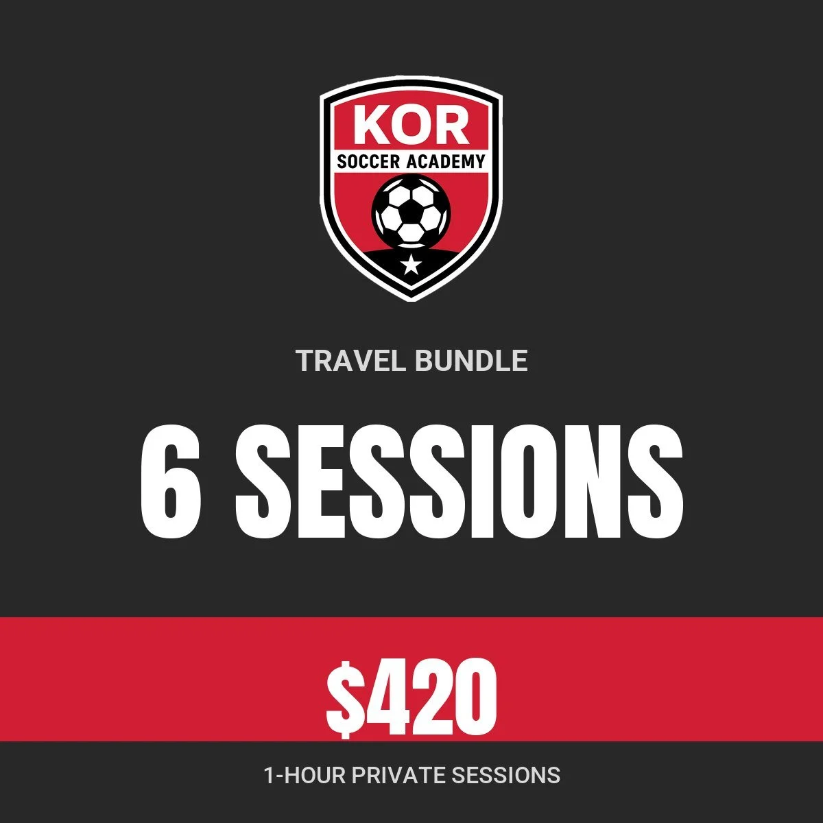 Travel Bundle: 6 one-hour sessions, $420