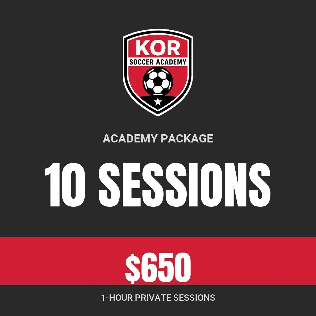 Academy Package: 10 one-hour sessions, $650