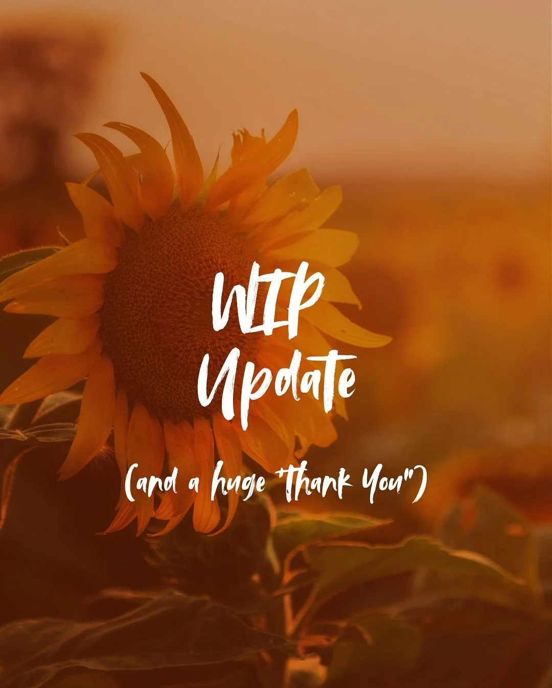 Lot&rsquo;s going on right now! It&rsquo;s crazy how a short story turned into a book and now I&rsquo;m writing booksssss! While this is challenging it is so rewarding and I have been so taken by the support shown here! Thank you! I can&rsquo;t wait 