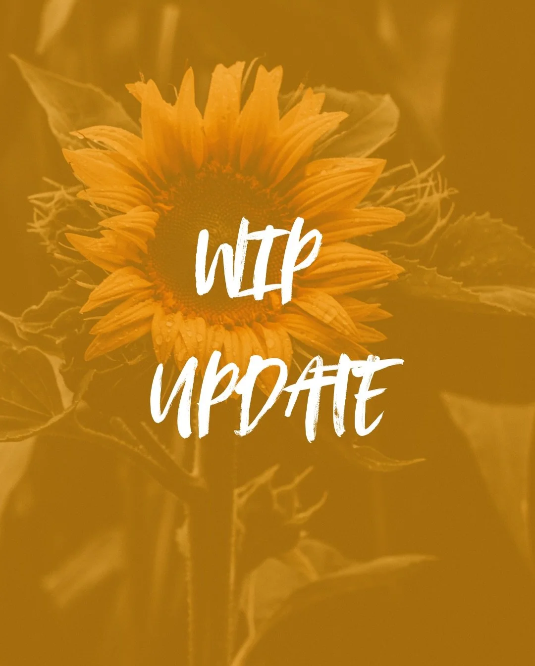 Taking some much needed time to rest but can&rsquo;t wait to bring you more of the Fall Series 🫶🏾.
.
.
.
.
#sapphicromance #sapphicreads #sapphicbooks #wlw #firstbook #newwriter #indieauthorsofinstagram #indieauthor #bipocauthor #queerlove #writing