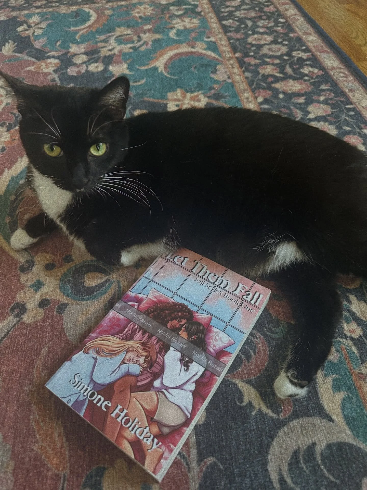 EBOOK OUT TOMORROW!!! In the meantime, please enjoy this picture of my favorite and ruthless creative director and her final inspection of the upcoming paperback! 
.
.
.
.
Had to do the cover art of the amazing: @femkeneriart justice! 
.
.
.
#sapphic