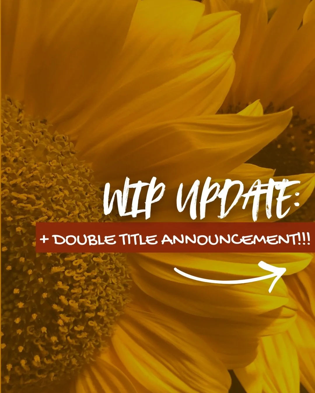 Alright until yesterday, I&rsquo;ve been a little quiet and it&rsquo;s because I&rsquo;m SO CLOSE to finishing Fall Series book 2, along with my alter ego&rsquo;s (lol-me) WIP (editing). I&rsquo;m really happy with this project so far! These two ladi