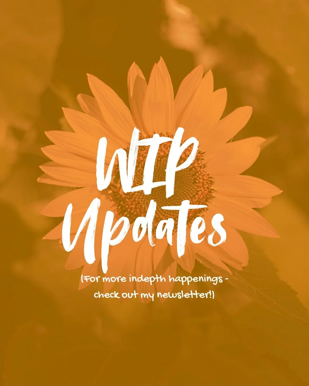 Crawling back to my cave to finish FI96 🫶🏾
.
#wipwednesday #indieauthor #sapphicromanceauthor