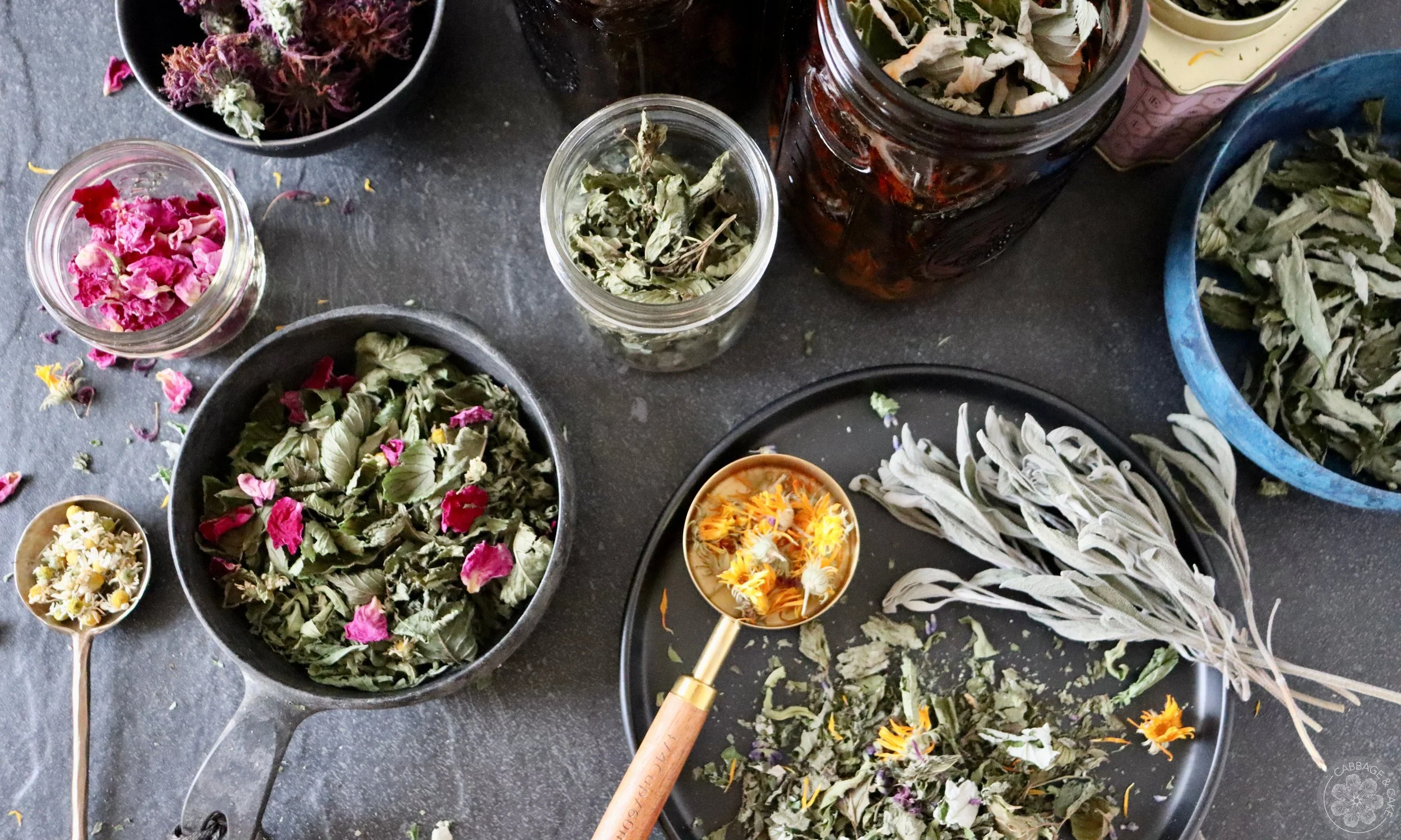MY FAVOURITE 7 HERBS TO HARVEST AND DRY FOR HERBAL TEAS ALL WINTER LONG