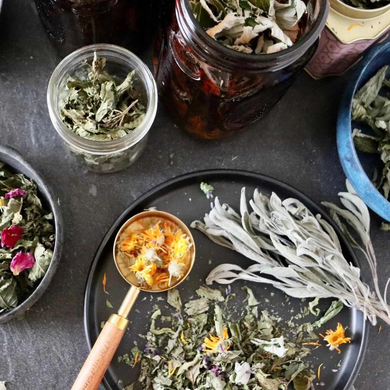 MY FAVOURITE 7 HERBS TO HARVEST AND DRY FOR HERBAL TEAS ALL WINTER LONG