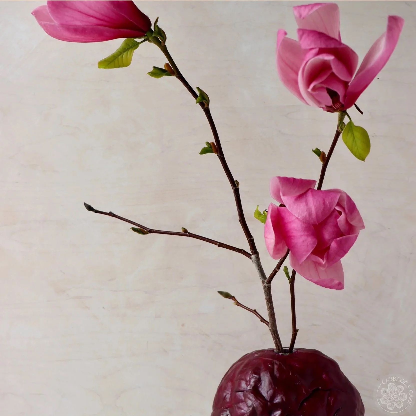 DIY PURPLE CABBAGE VASE