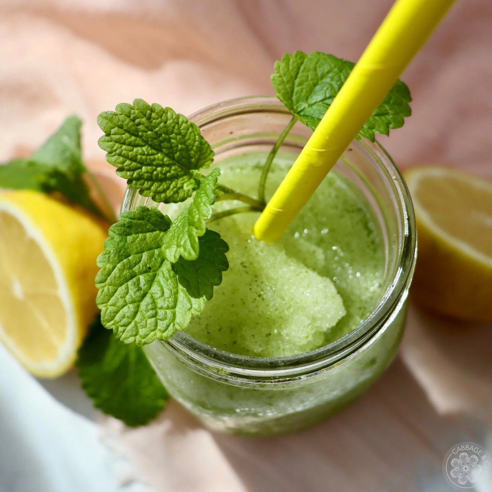ICED LEMON BALM LEMONADE WITH HONEY AND GINGER RECIPE