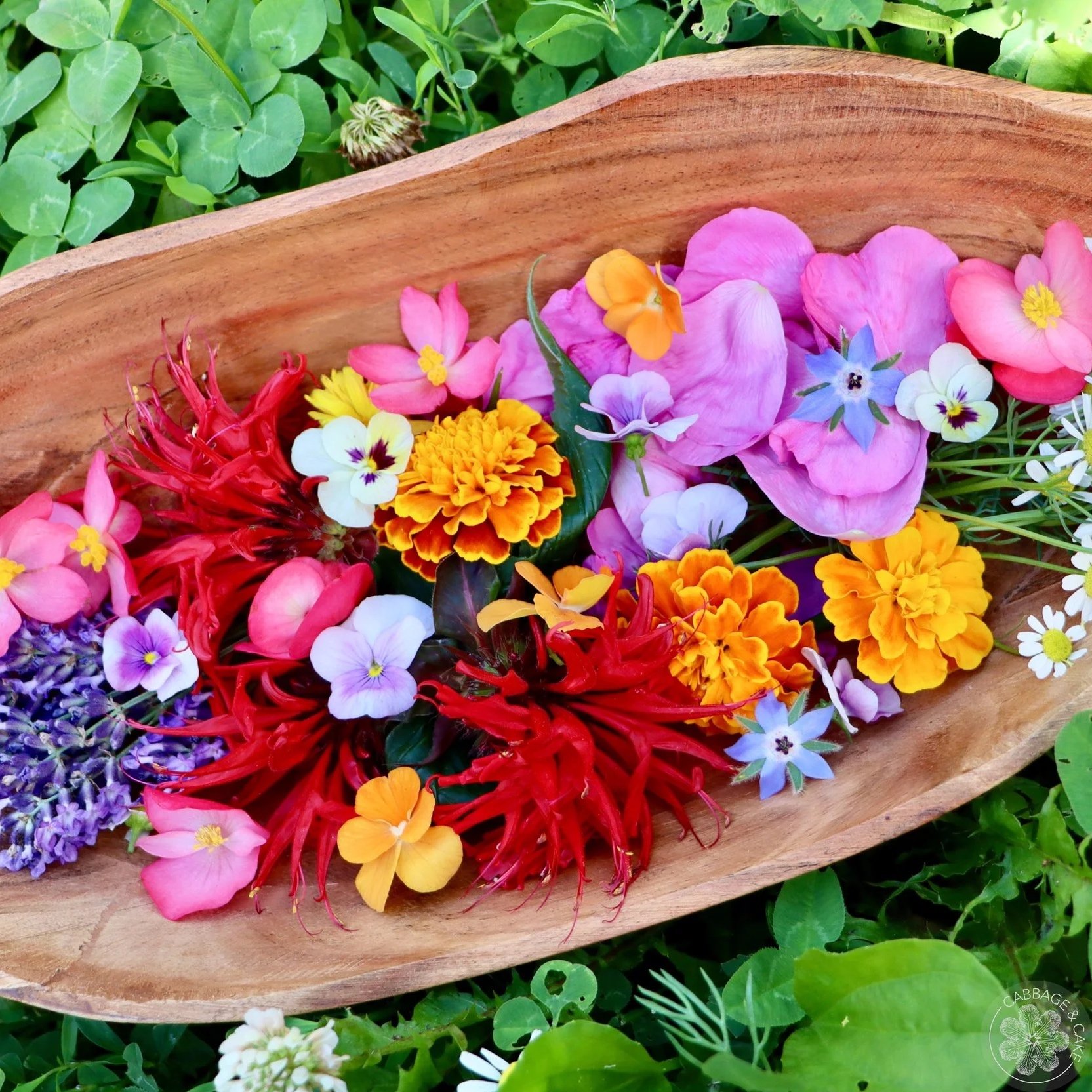 MY FAVOURITE EDIBLE FLOWERS AND HOW TO USE THEM