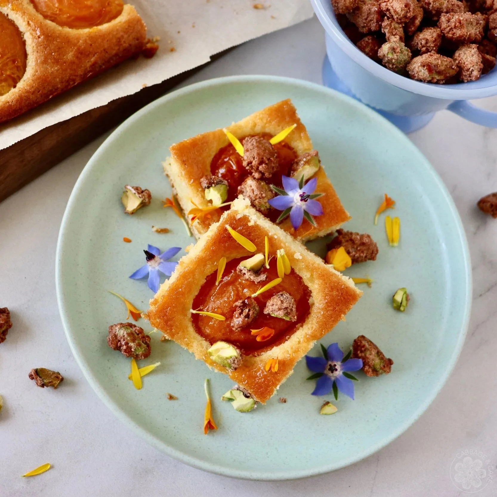 FRESH APRICOT SQUARES WITH CANDIED PISTACHIOS RECIPE