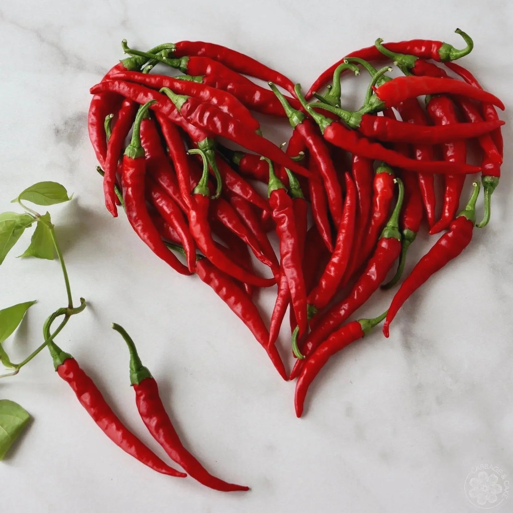 HOW TO STRING DRY HOMEGROWN CHILLI PEPPERS