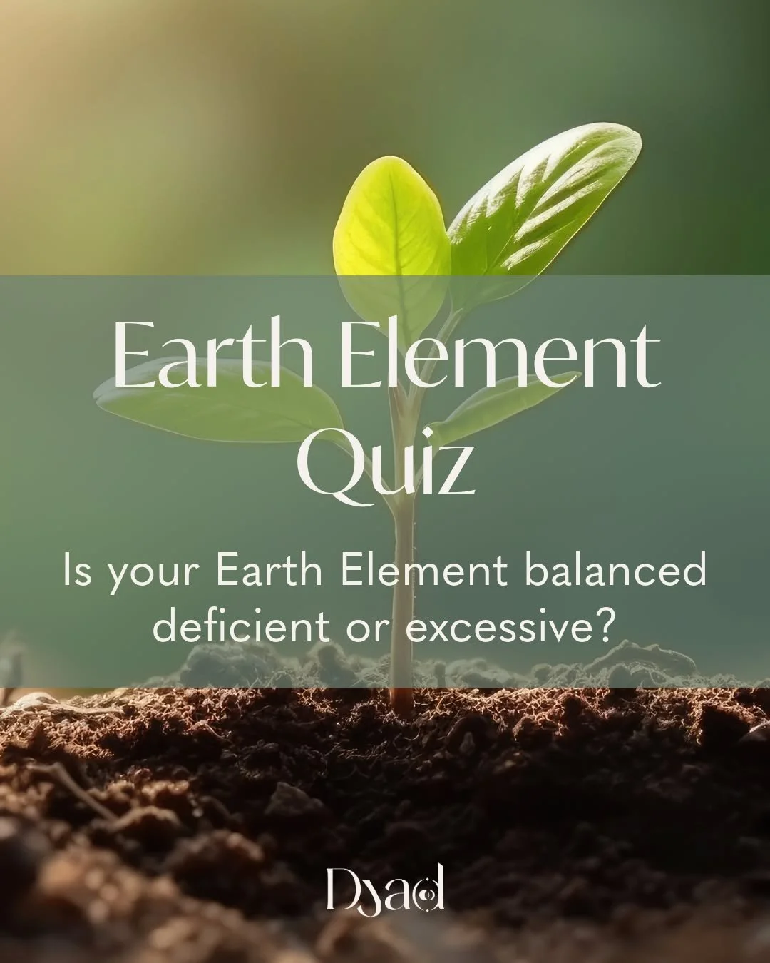 How is your Earth Element? 

How do you build stability, structure, and sustainability in your life? The Earth element in astrology speaks to the way we ground ourselves&mdash;through work, habits, commitments, and the tangible choices that shape our
