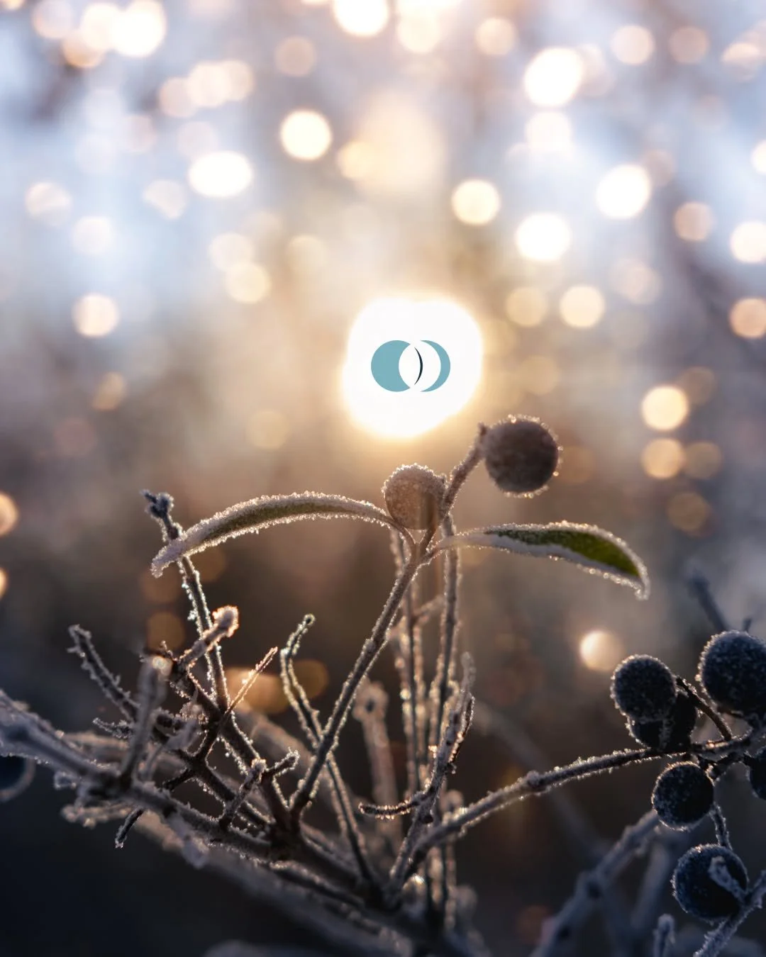 🌞 Winter Solstice | ☀️ Sun enters Capricorn ♑️

The longest night gives way to returning light &mdash; the Solstice marks a sacred turning point.
It&rsquo;s a moment of stillness before the climb begins.

As the Sun enters Capricorn, we move from vi