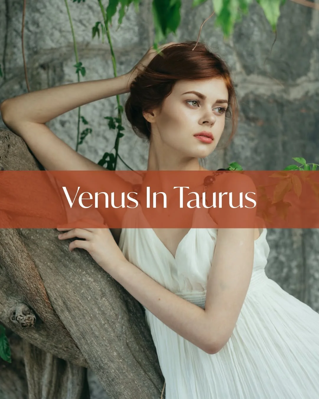 March 30: Venus enters Taurus

This is Venus coming home.

Taurus is one of Venus&rsquo; domiciles - a sign where her language is spoken fluently and her values are embodied, not idealized. Here, Venus doesn&rsquo;t chase or perform. She receives.

I