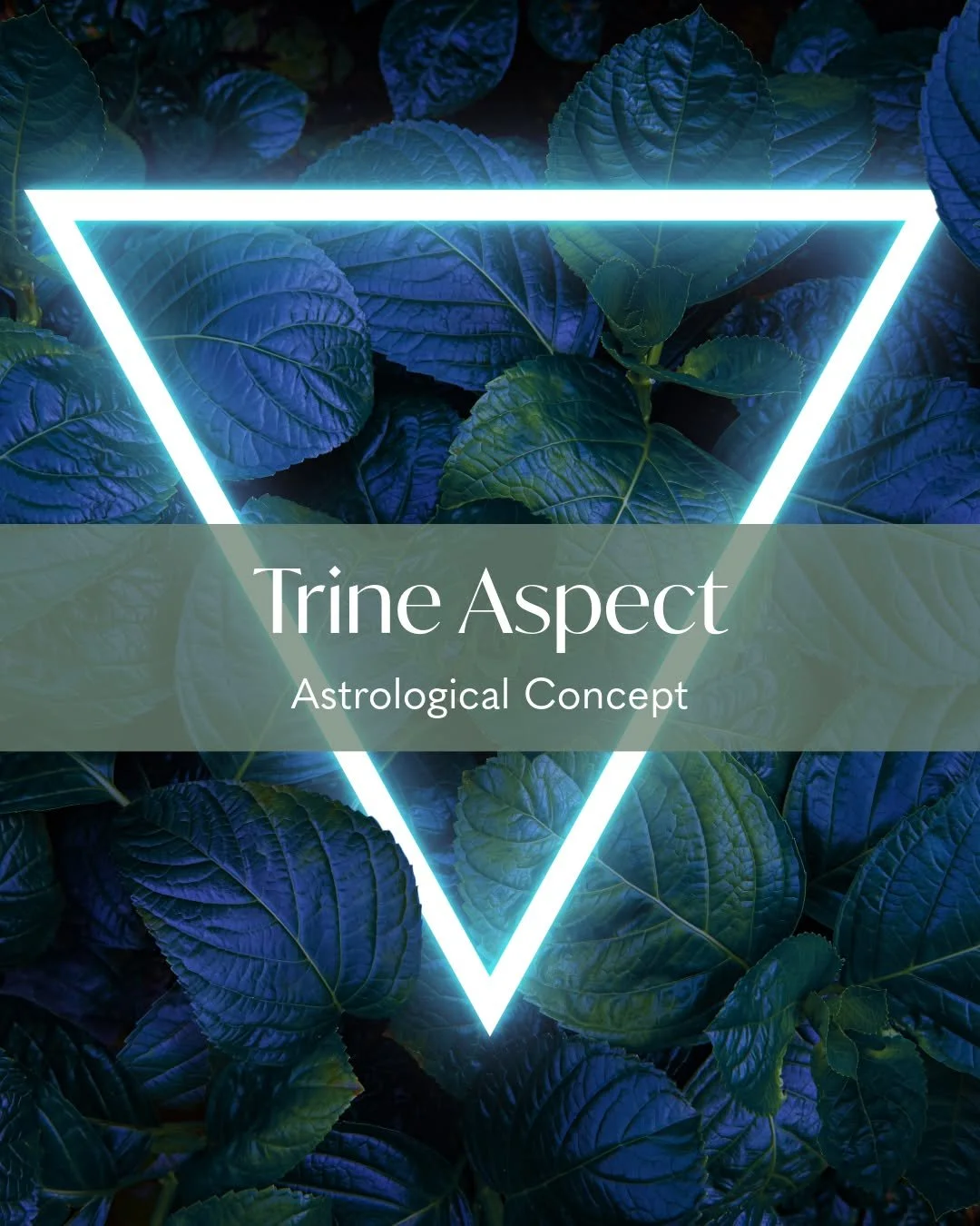 Trines represent natural alignment.

When two planets form a trine, they operate in harmony. Their energies reinforce each other, creating ease, coherence, and innate ability.

These aspects show where strength already exists and where expression flo
