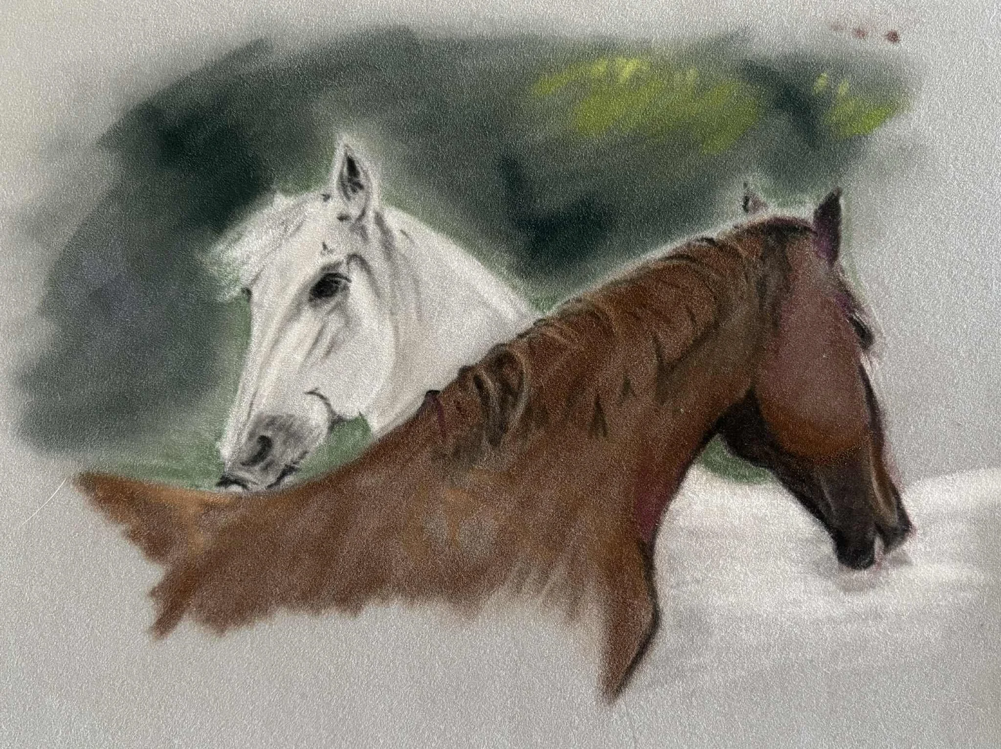 Companions