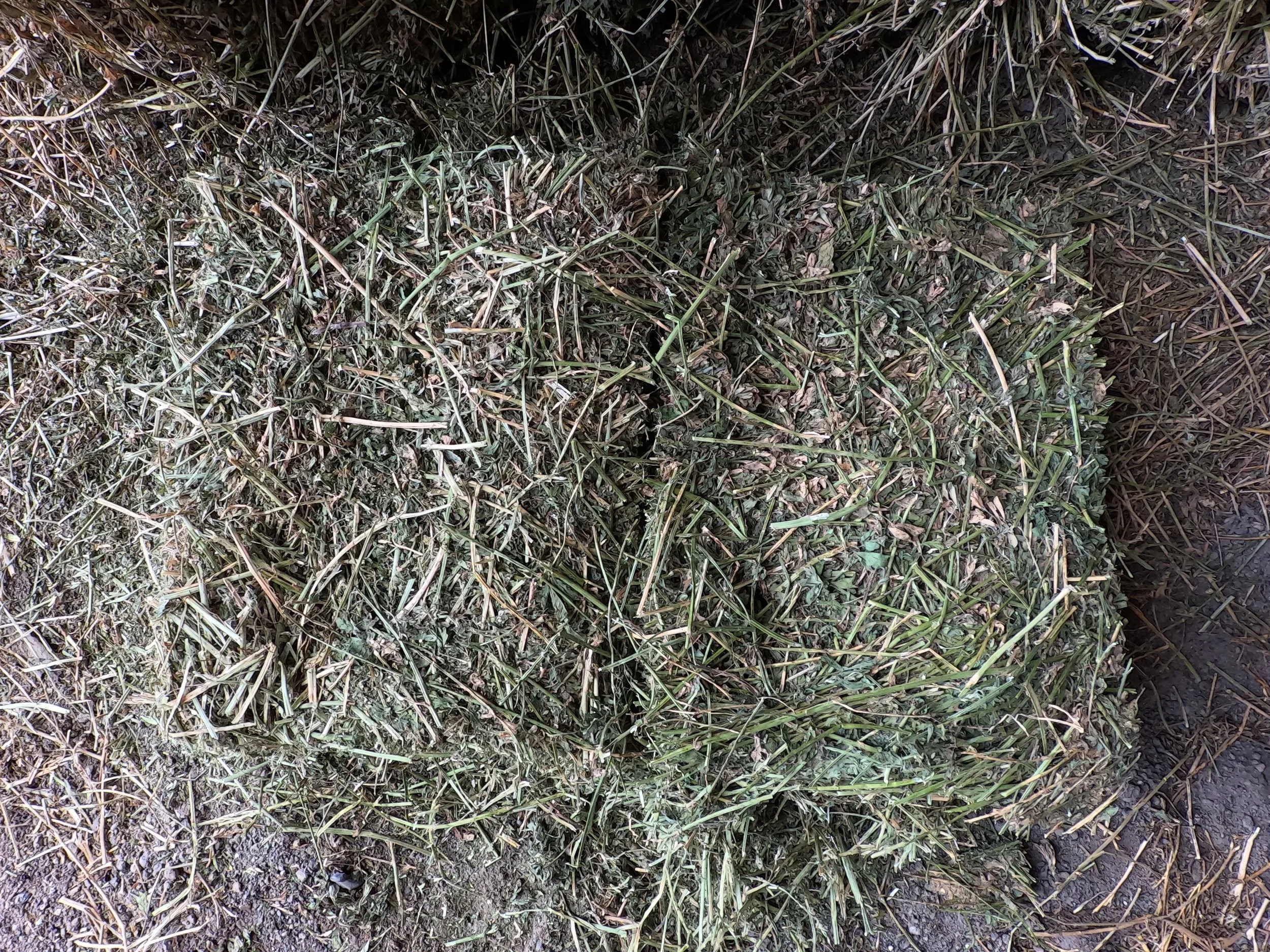 26 MM 5 SQ b.JPG