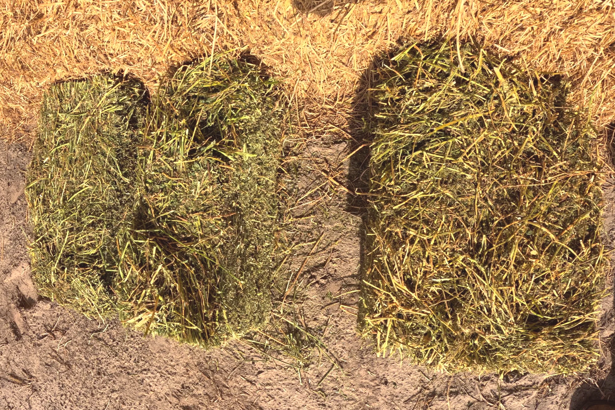 25+MM+4S+p2.png