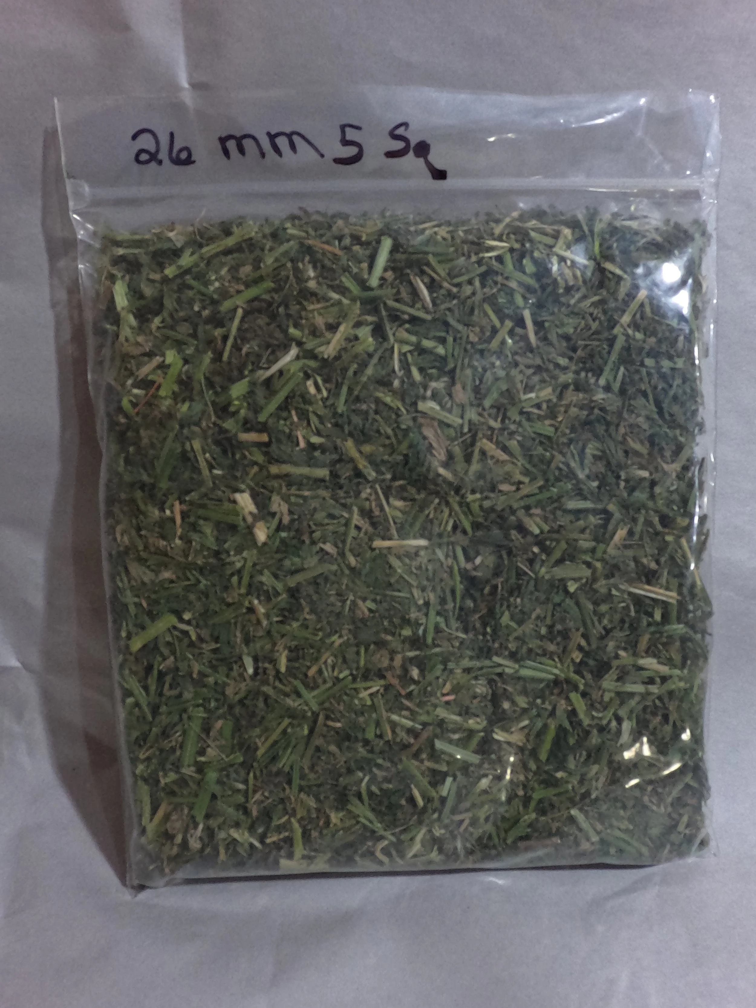 26 MM 5 Sq.JPG