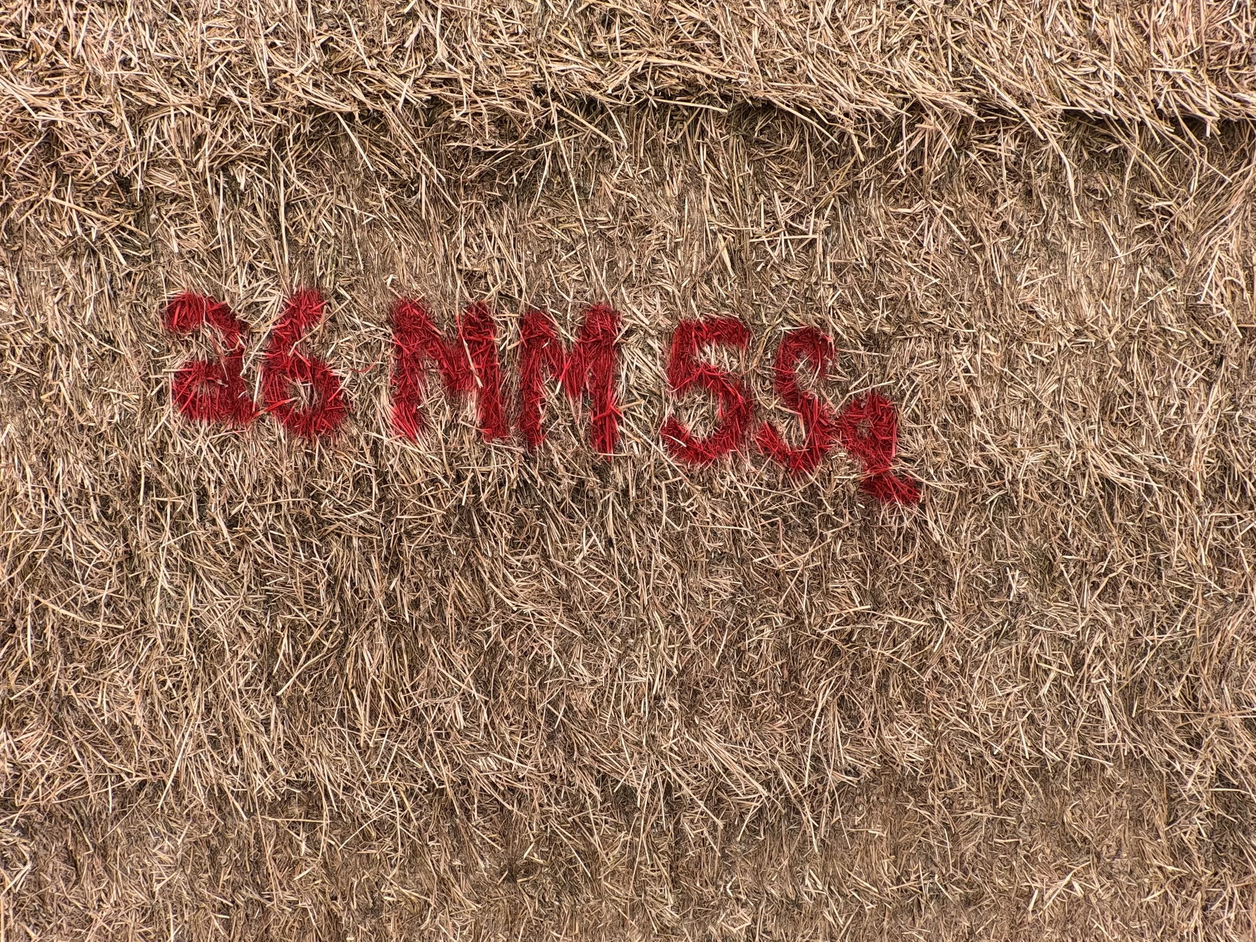 26 MM 5 SQ a.JPG