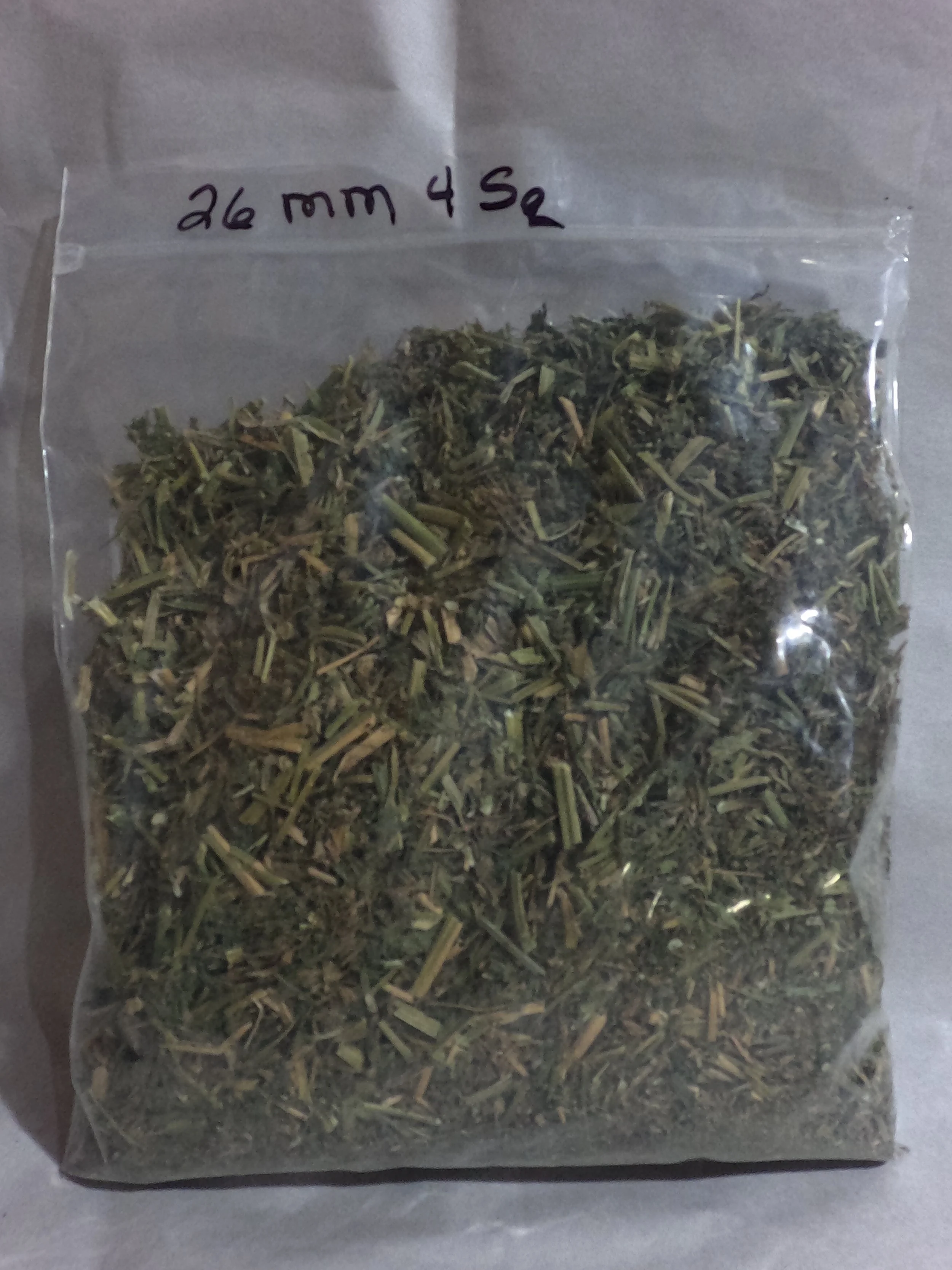 26 MM 4 Sq.JPG