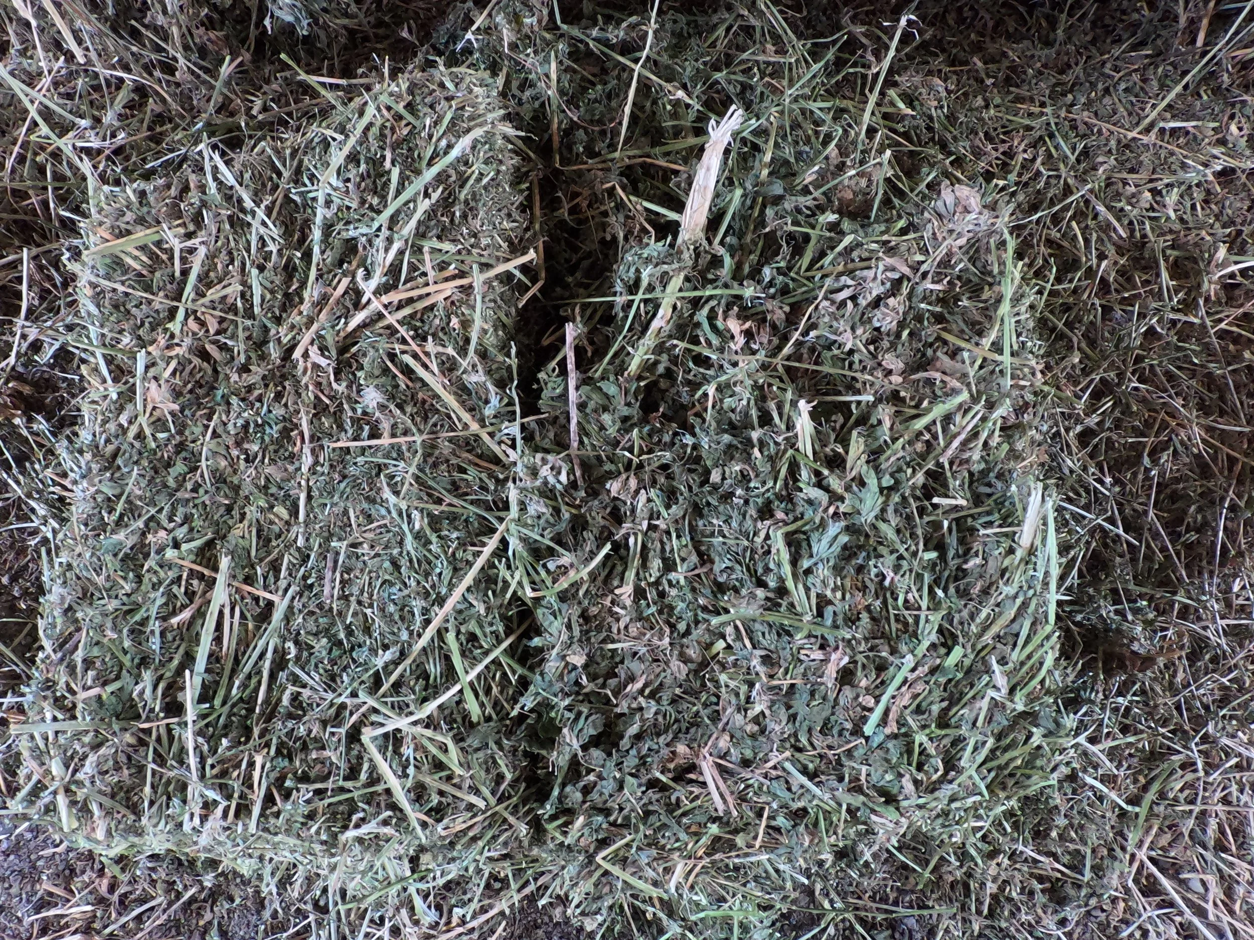 26 MM 5 SQ c.JPG