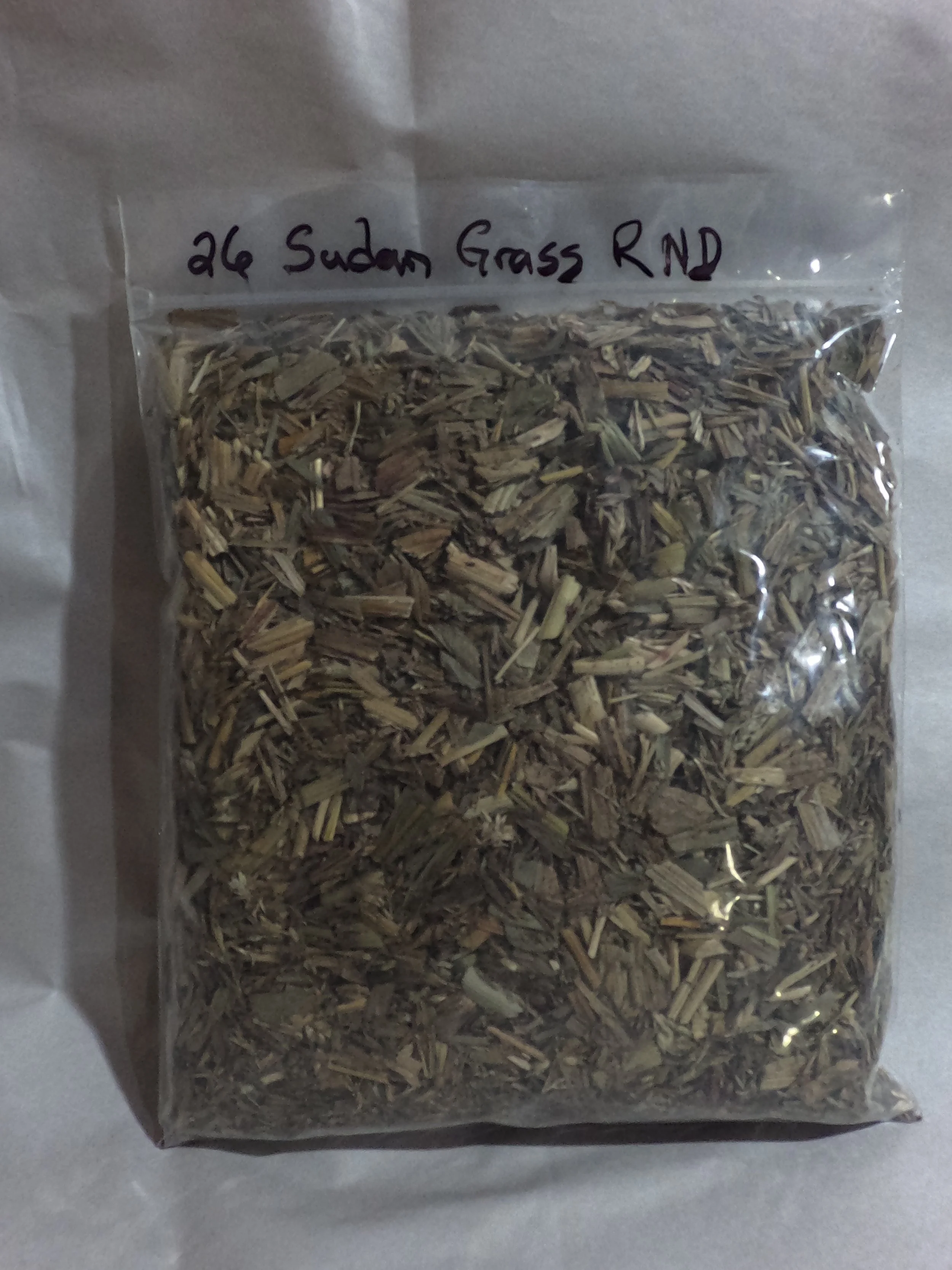 26 Sudan Grs RND.JPG