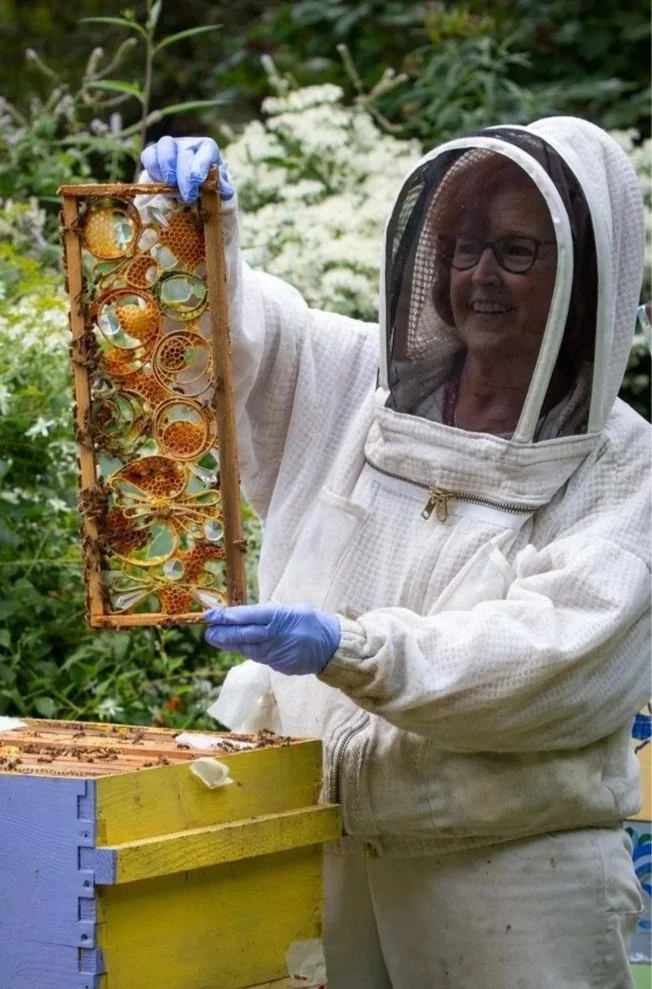 Interspecies_Collaboration_with_bees