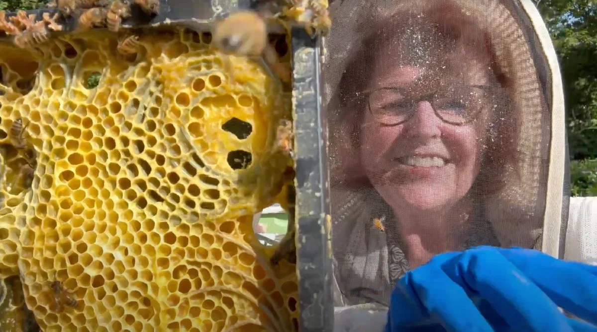 Artist Susan Medyn with in-process artwork being removed from beehive