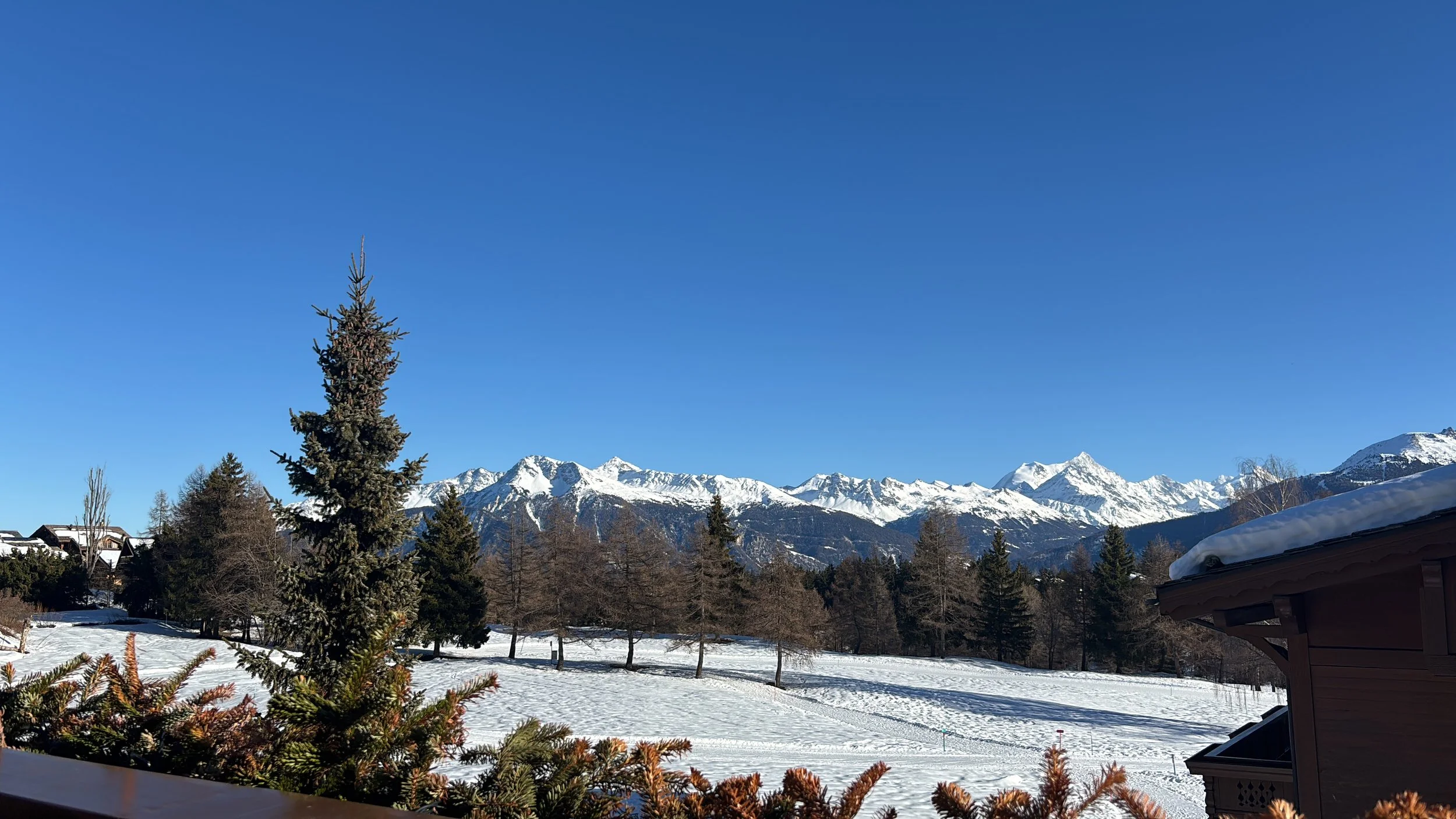 The Structural Shift in the Alpine Market